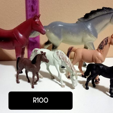 Horse Family