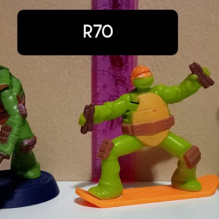 The Teenage Mutant Ninja Turtles (TMNT