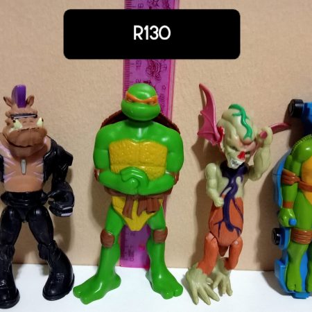 The Teenage Mutant Ninja Turtles (TMNT)
