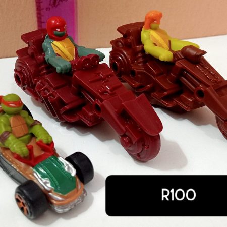 The Teenage Mutant Ninja Turtles (TMNT)