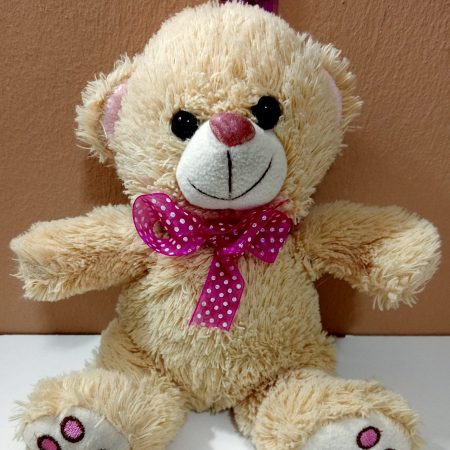 Girl Soft Toy