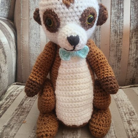 MR Meerkat